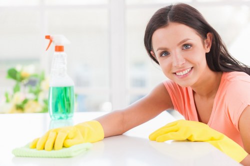 Professional regular cleaning service for a Barnet home interior