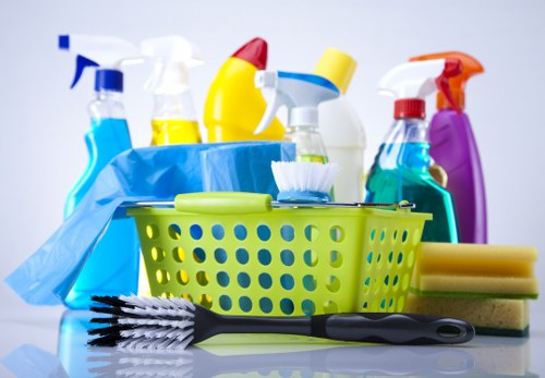 A professional cleaner working in a home during a scheduled cleaning visit