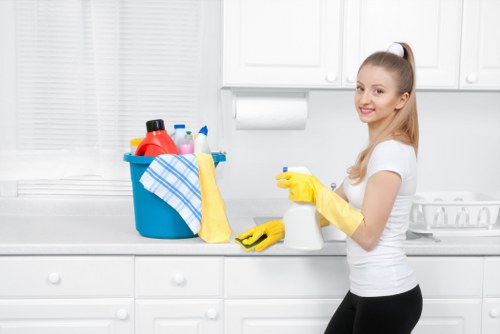 Cleaner handling stubborn grease and carbon build-up on an oven door