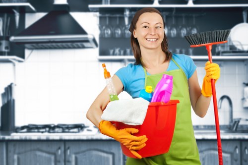 Professional mattress cleaning service for a home in Barnet