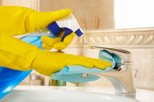 Local cleaner working in a Barnet home