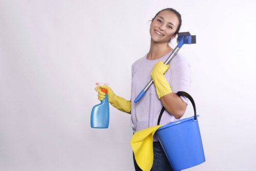 Local carpet cleaner treating stains and dirt in Barnet