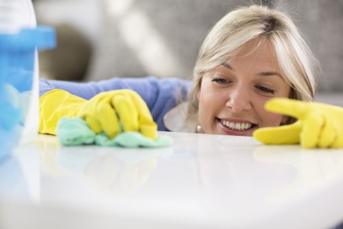 Sustainability-focused cleaning and recycling in Barnet
