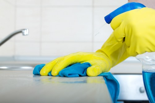 Professional window cleaning equipment used for a local property