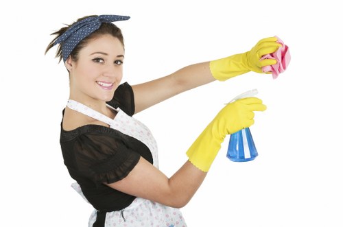 Ongoing domestic and commercial cleaning in Barnet